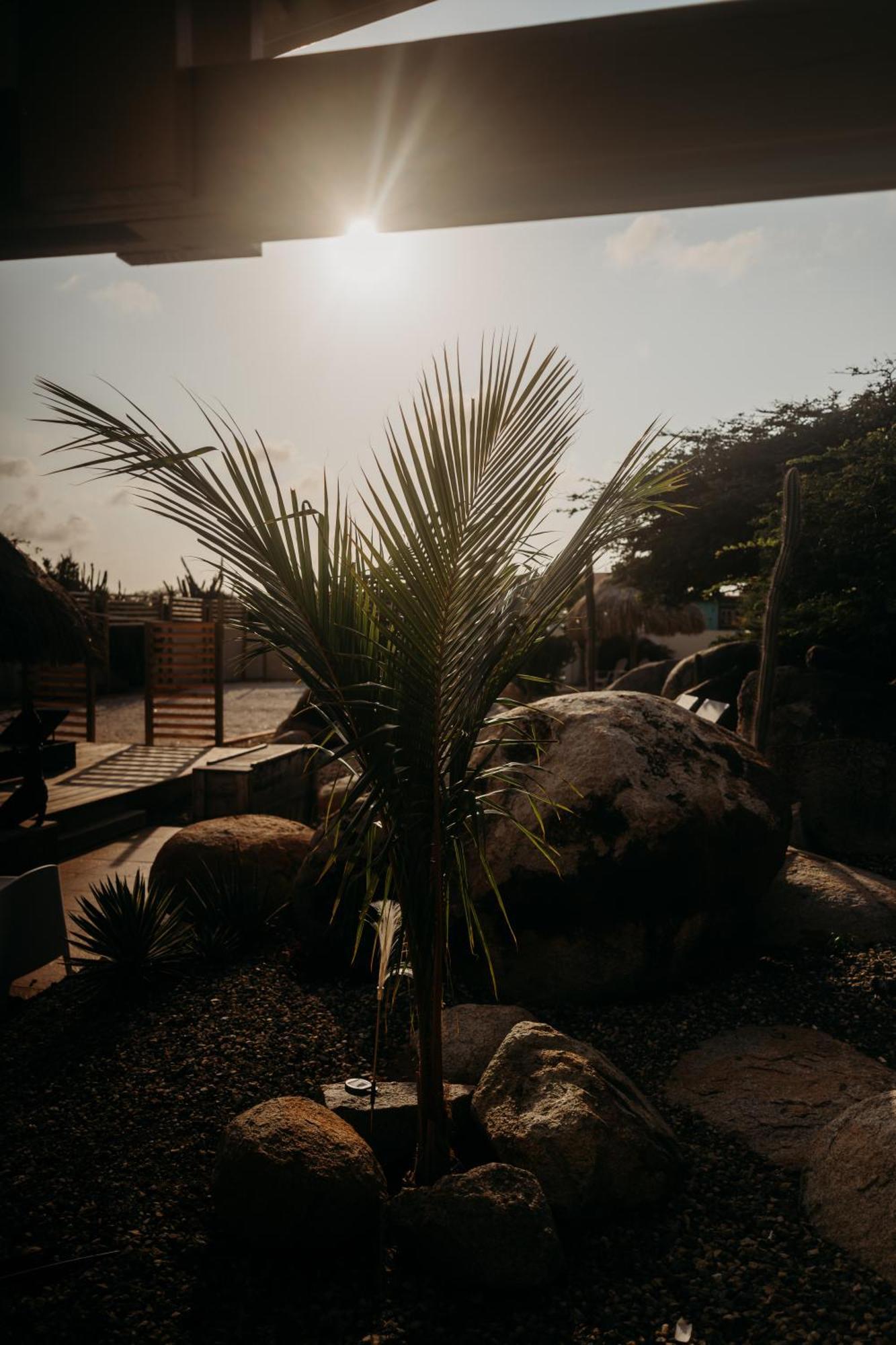 Pura Vida Aruba Appartement Palma Noord Exterior foto